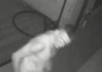 wanted_201289_01.jpg
