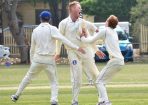 cricket_203434_01.jpg