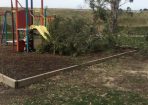Tree_204548_07.jpg
