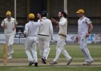 cricket_206166_01.jpg