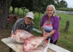 fishing_206279_01.jpg