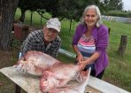 fishing_206279_02.jpg