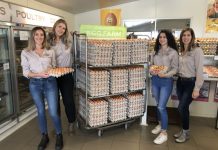 Casaccio Egg Farm sets a crackin’ pace