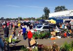 Belmont_210080_01.jpg