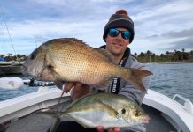 Bumper catches at the waterfront