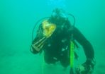 Shellfish_209910_01.JPG