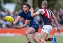 AFL clears Jack Steven