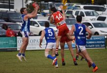 Geelong footy season cancelled