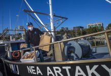 It’s Our Backyard: Q&A with Anastos Fisheries