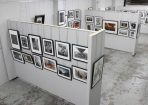 focalpoint_218173_01.jpg