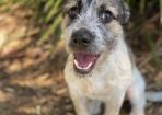 Adoption_224369_01.jpg