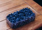 Blueberry_226547_03.JPG