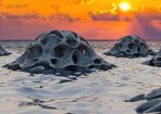 Reef