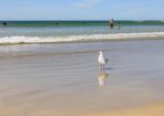 outabout_225300_13.jpg