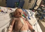 Brayden Shallue 3