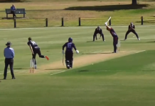 Bat vs ball as Cats take on Saints