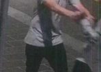 Vandals_228997_01.jpg