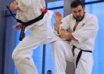 Kyokushin_234358_01.jpg