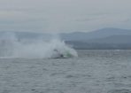 Superboats_233725_07.jpeg