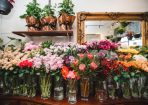 Florist_236315_02.JPG