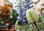 Florist_236315_03.JPG