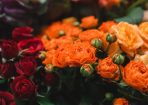Florist_236315_04.JPG