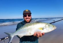 Garfish on fire, salmon on the chew