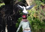 Magpie_248067_01.jpg