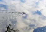 Platypus_248755_03.jpg