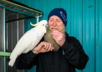 Cockatoo_250559_12.JPG