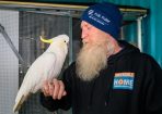 Cockatoo_250559_14.JPG