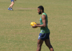 Ratugolea_249908_01.png