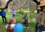Platypus_254404_01.jpg