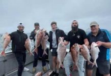 Queenscliff a hot spot for squid