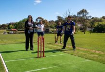New wickets ahead of cricket season
