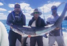 Snapper starting to bite after slow start to season