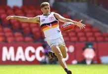 Stengle officially a Cat