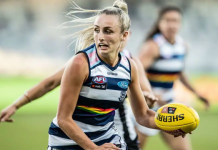 Cats’ late charge not enough