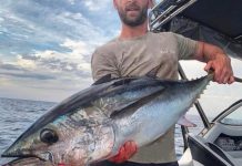 Plenty of snapper on offer