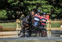 Best carriage drivers crowned