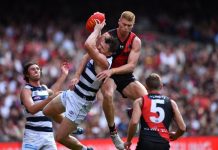 Cats turn back the clock with dominant win