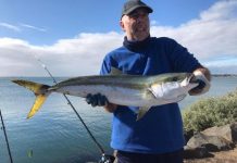 Surprise catches in Corio Bay