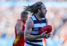 Undermanned Cats readying for round one
