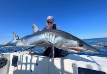 Fish biting around the region