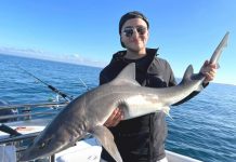 Whiting and calamari proving fruitful on the peninsula