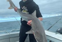 Barwon River proves the goods