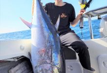 Whiting on the chew on the Bellarine