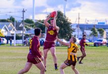 Eagles top of the nest