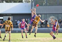 Panthers claim second big scalp