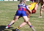 footy_292290_02.jpg